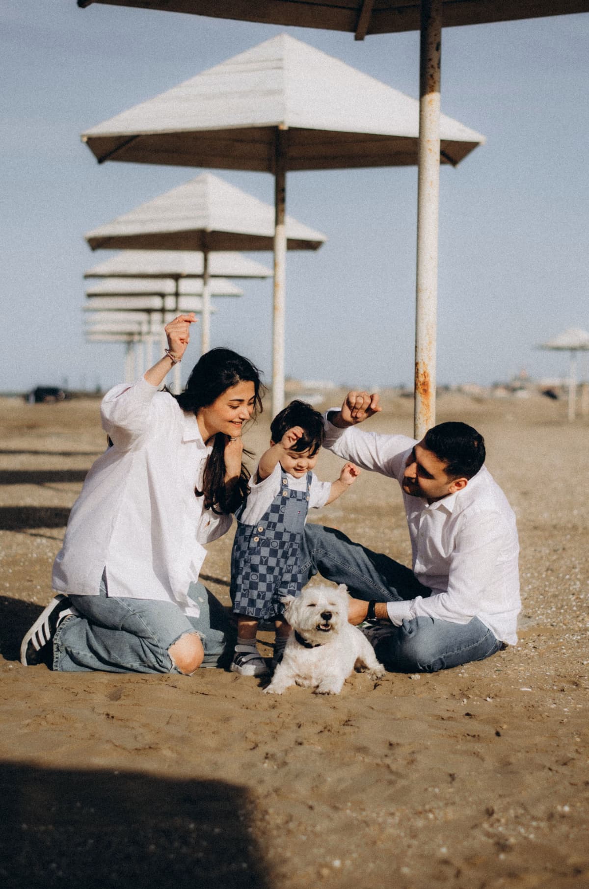 Parents and their young child playing with a small white dog on a beach